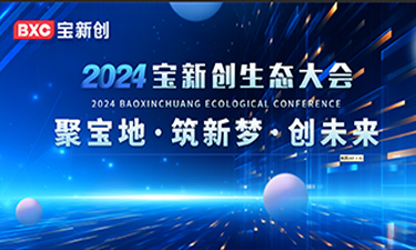 聚寶地 筑新夢(mèng) 創(chuàng)未來(lái)-寶新創(chuàng)2024生態(tài)大會(huì)圓滿(mǎn)落幕